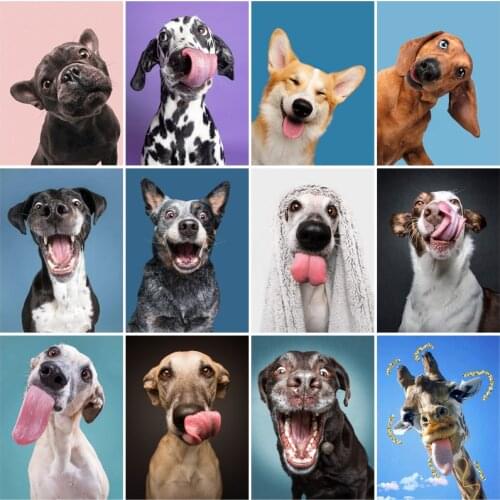 Full Drill Painting Kits Dog 5D Round Square Rhinestones Stitch Embroidery Animals Diamond Art Mosaic Accessories for Home Decor