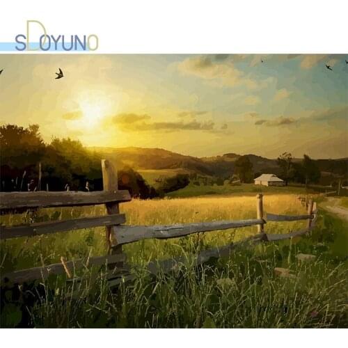 SDOYUNO DIY Paint By Numbers Kits Scenery 60X75cm Oil Painting By Numbers On Canvas Field Frame Handpaint Coloring By Numbers