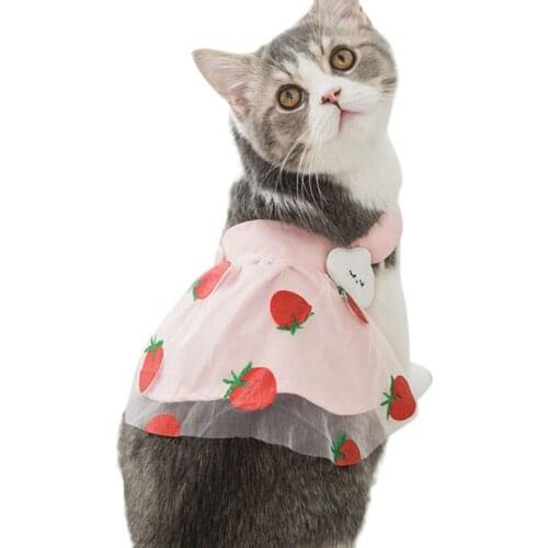 Pet Dog Cat Dress Cute Fruit Print Sweet Princess Dress Clothes Spring and Summer Thin Cat Mesh Skirt