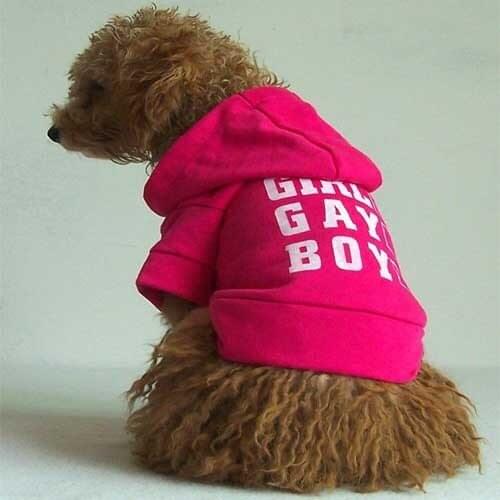 Free shipping! cute dog clothes dogs shirt pets apparel puppy sweatshirt puppy hoody shirt