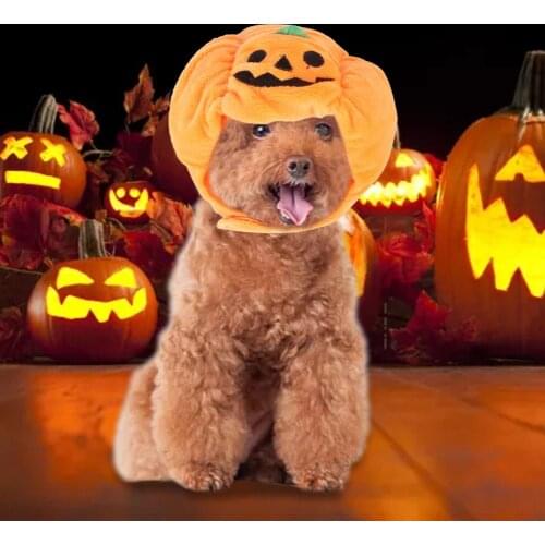 Pet Halloween Costume Cat Funny Pumpkin Hat Adjustable Party Dress Up Cosplay Costume For Cats Puppies Pet Photo Props