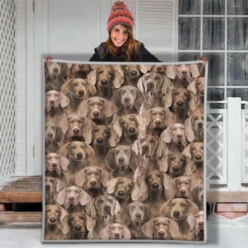 Brown Vizsla Dog Funny Dog Puppies Face Soft Throw Plush Sherpa Fleece Blanket