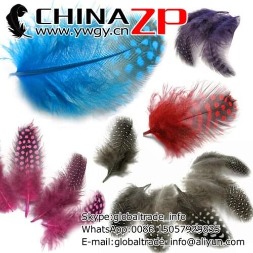 No.1 Plumage Supplier CHINAZP Factory 200pcs/lot Dyed Mix Color Polka Dot Guinea Hen Feathers