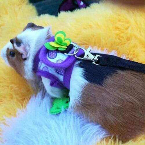Small Pet Harness Adjustable Bow-knot Decor Anti-biting Polyester Guinea Pig Rabbit Chest Strap Leash for Walking Collars Decor