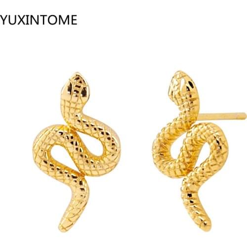 Punk Snake Earrings 925 Sterling Silver Ear Needle Stud Earrings For Women Personality Animal Brincos Female Jewelry Gift