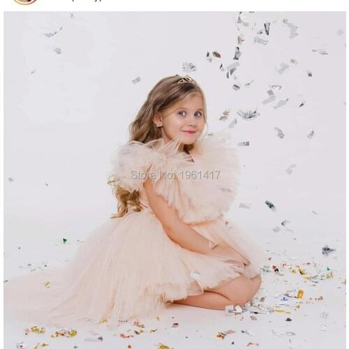 2020 New Stunning Red\Pink\Champagne Toddler Birthday Party Gowns Flower Girl Dress For Special Occasion Outfit