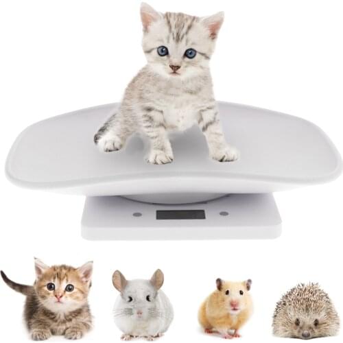10KG Capacity Digital Newborn Animal Scale LCD Display Pet Dog Weighting Scale with Comfortable Curving Platform
