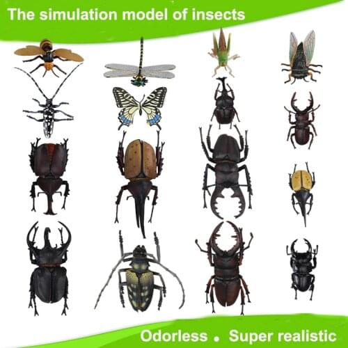Children Large Plastic 3D Butterfly Dragonfly Beetle... Insect Model Interesting Science activity toys