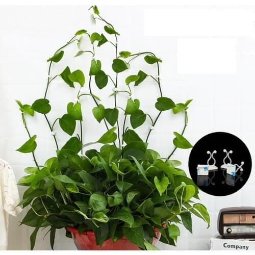 Invisible Wall Vines Fixing Clips Plant Climbing Holder Fixer Self-Adhesive Fixture Wall Sticky Hook Garden Plant Support
