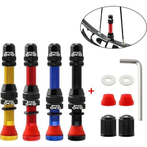 1Pair 60mm Schrader A/V Valve For Road Tubeless Rim Alloy Stem Brass Core Nipple MTB Road Bicycle Tubeless Rim Accessories
