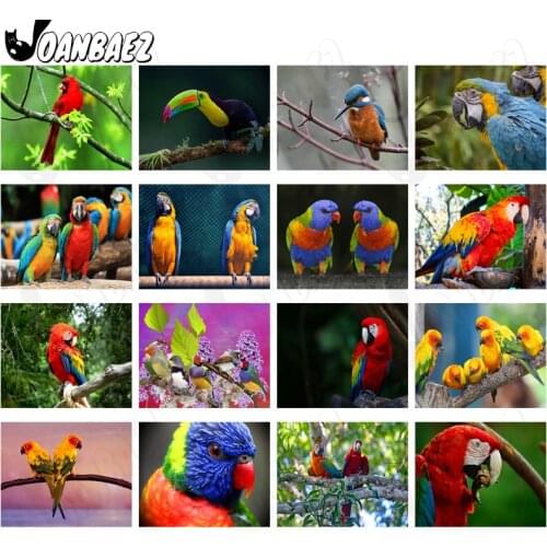 Diamond Painting Color Parrot 5D Diy Cute Mosaic Beautiful Animal Cross Stitch Knife Sticker Diamond Embroidery Gift Decoration
