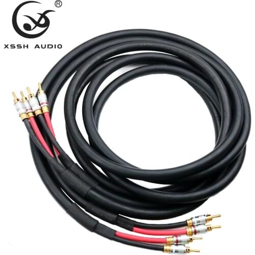 TRANSPARENT TYPE CL2 YIVO XSSH audio DIY HIFI Gold Plated banana plug 6 core OCC pure copper 18mm speaker cable Cord Wire