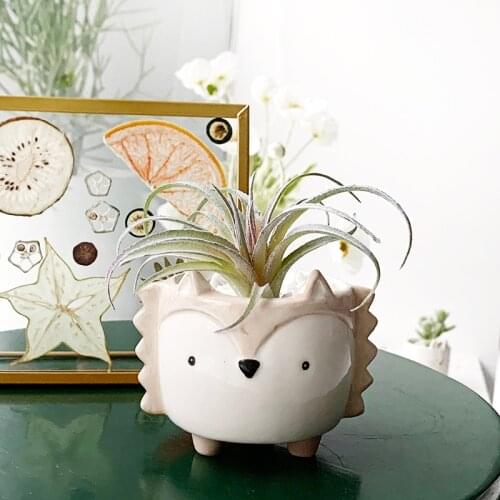 Ceramic Animal Flower Pot Cartoon Hedgehog Bunny Flower Pot Home Decoration Creative Mini Garden Decoration Bedroom Decoration