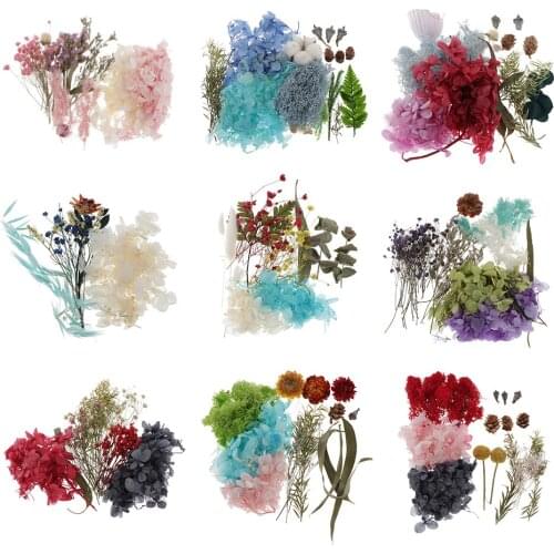Real Pressed Leaves Flowers For Resin Crystal Epoxy Jewelry Making Candle
