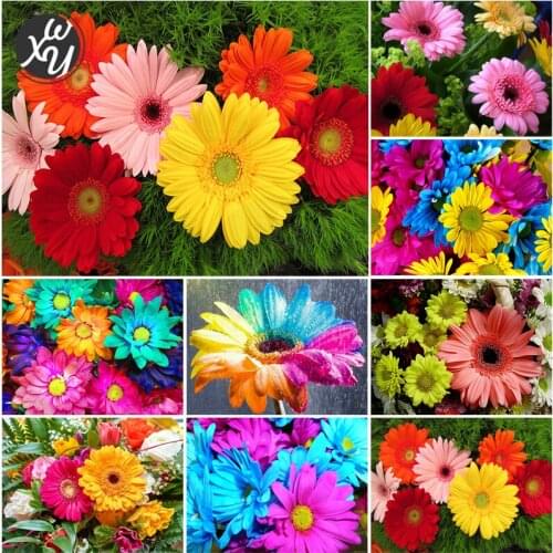 5D DIY Diamond Painting Embroidery Beautiful Floral Rhinestone Pictures Diamond Embroidery Colorful Mosaic Cross Stitch for Home