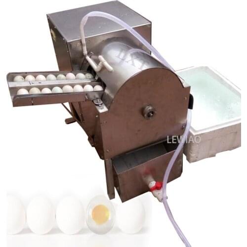 Double Row Electric Egg Washing Machine Chicken Duck Goose Egg Washer Egg Cleaner Wash Machine Poultry Farm Equipment