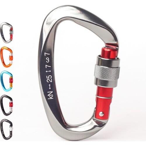 25KN Multicolor Professional Carabiner D Shape Climbing buckle Security Safety Master Lock Outdoor Rock Climbing Equipment