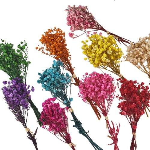 3 Pcs Mini Natural Dried Flowers Flower Natural Bouquet Home Decoration Real Flower Diy Flower Arrangement Flower Shooting Props
