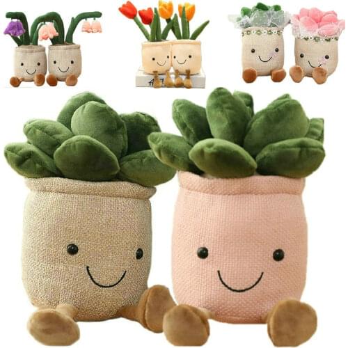 25cm Simulation Succulent Plant Plush Toy Stuffed Smile Complete Plant-based Profile Lifelike Office Table Decor Aloe Cactus