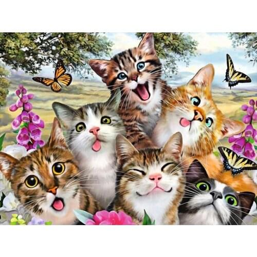 5D DIY Diamond Painting Pet Cat Diamond Painting Kitten Diamond Handmade DIY Gift