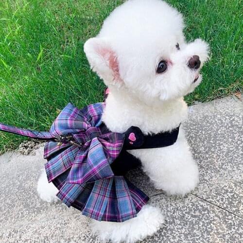 Pet Dog Cat Summer Spring Clothes Dog Dress With Leash Chihuahua Bichon Cute Puppy Skirt Suitable For Small Dogs Para Perros