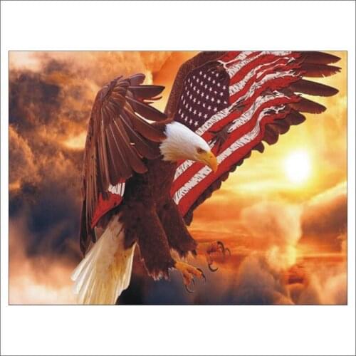 Animal Eagle 5D Diamond Mosaic DIY Diamond Embroidered Square Cream Cross Stitch Embroidery Set Home Decoration Gift T375