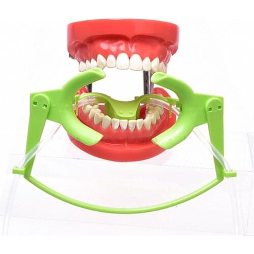 Dental Dry Field Nola Orthodontic Lip Cheek Retractors Green White Saliva 1Set