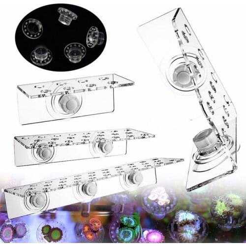 Acrylic Clear Coral Frag Rack Plugs Kit Marine Sources Aquarium Fish Tank Holder Bracket Marine Reef Accessories Part
