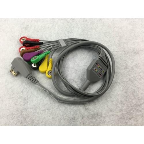 DMS 300 series Compatible ECG Holter Cable 10 Leads IEC Snap Leadwires