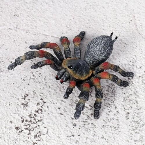 Tricky Spider Toy Simulation Insect Animal Model Spoof Scary Toys Adult Kids Home Decor Mini Doll Figure Kids Toy Gift New