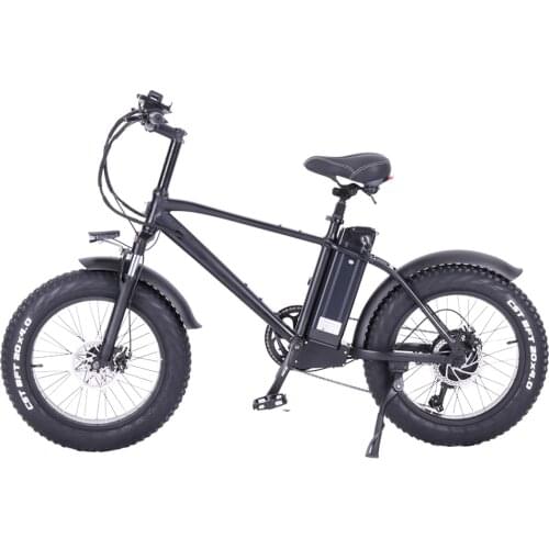 EU Stock) 48V 750W Electric Bike With 2 battery Ebike Adult Mountain Electric Bicycle e-bike