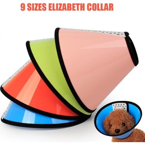Dog Cat Protection Cover Wound Healing Cone Protective Pet Dog Cat Bite Collar Pet Medical Collar Elizabeth collar 6pcs