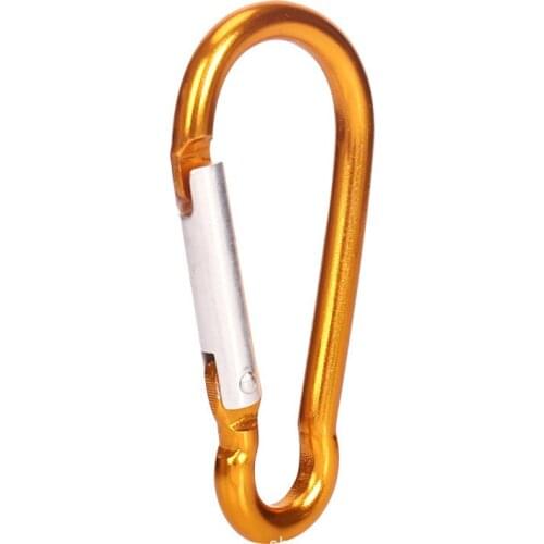 5pcs Carabiner Keychain Outdoor Camping Climbing Hiking D-ring Snap Clip Lock Buckle Hooks Sports Fishing Bucklekeychain Tools