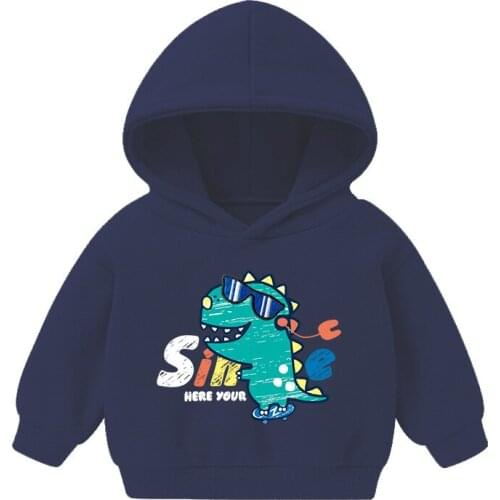 Autumn Early Winter Hoodies Coat Toddler Baby Kids Boys Girls Clothes Hooded Solid Plain Hoodie Sweatshirt Tops