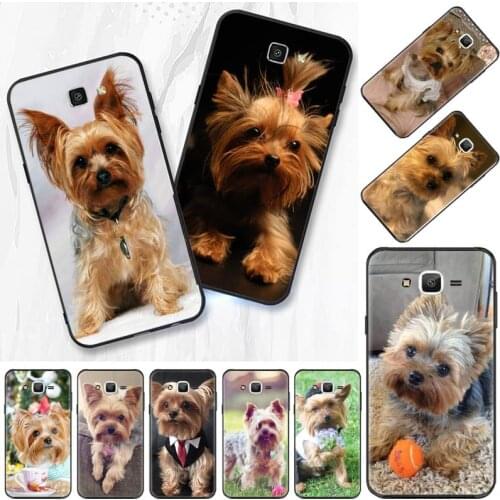 Mini Yorkshire Terrier Dog Phone Case For Samsung Galaxy J2 J4 J5 J6 J7 J8 2016 2017 2018 Prime Pro plus Neo duo