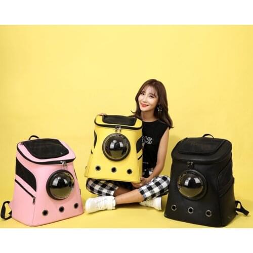 Pet Dog Carrier Backpack Mesh Camouflage Outdoor Travel Products Breathable Shoulder Handle Bags for Small Dog Cats Chihuahua