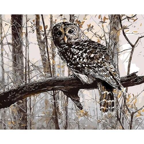 Cioioil Coloring Pictures By Numbers