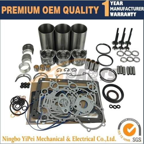 New Overhaul Rebuild Kit for Kubota D1105 Overhaul Kit STD Piston Ring