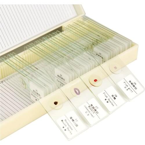 35PCS/Box animal glass slide specimen prepared samples Biological specimen slice for student learning science research