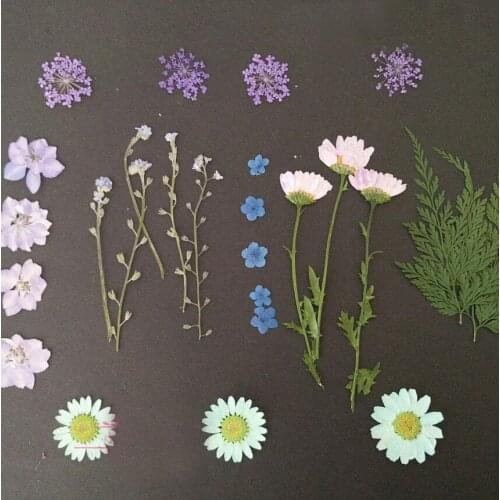 100pcs Dried Pressed Flower+ Leaf Leaves Plants Herbarium For Jewelry Postcard Photo Frame Phone Case Making DIY