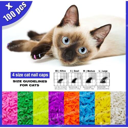 ZETPO Materials For Nail Extension