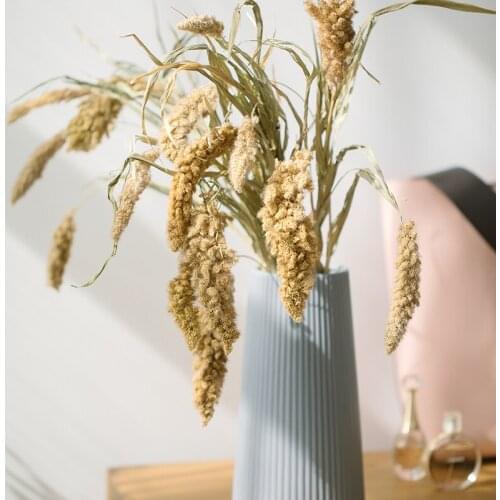 Northern European-Style Natural Plant Dried Flower Oryza Art Dried Bouquet Art Club Decoration Props Millet Bear Tail