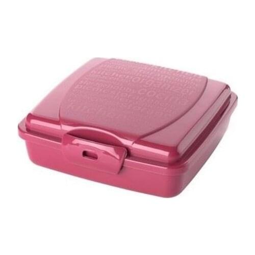 Toast Box Tost Storage Container, Lunch Box for toast, Food Container, Slice of Bread Box, Plastic, Bpa Free, Quality Lunc Box