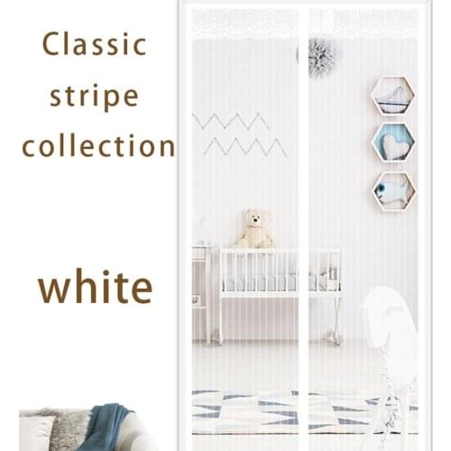 2021 Hot Magnetic Screen Door Curtain Anti-Mosquito Net Fly Screen Mosquito Protection Net Magnet Spring for Doors Windows