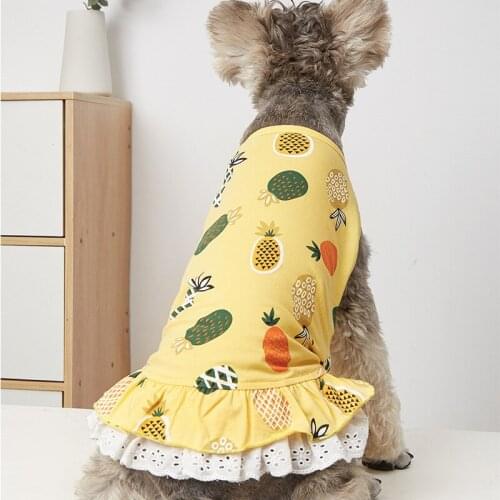 Small Dog Dress Puppy Cat Chihuahua XS Yorkshire Terrier Dresses Princess Costume Pomeranian Poodle Bichon Schnauzer Dog Clothes