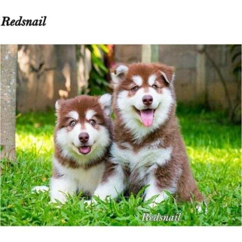 5D Diy Diamond Painting Cross Stitch Alaskan Malamute Square Round Diamond Embroidery animal Rhinestone Mosaic Needlework EE194