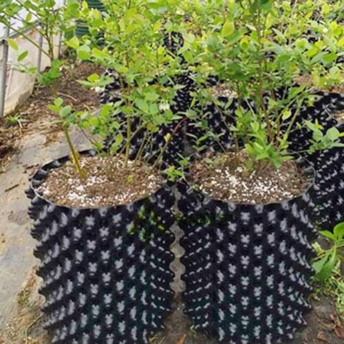 Plant Root Trainer Fast Root Grow Container Air-Pruning Garden Tree Bonsai Transplant Tool Hydroponic Plant Root Control Pod