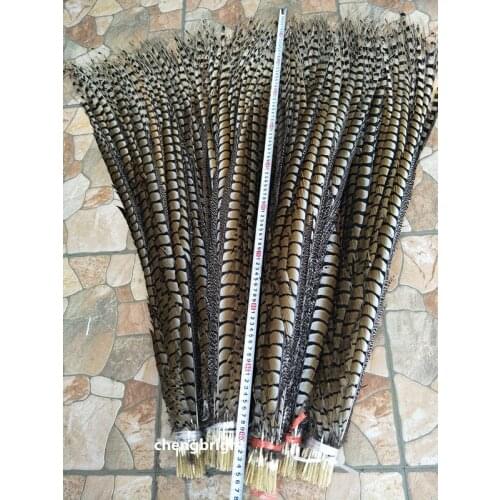 In stock wholesale 10pcs natural LadyAmherstsPheasant feathers wedding Decoration 10-120cm/4-48inch Carnival Stage performance