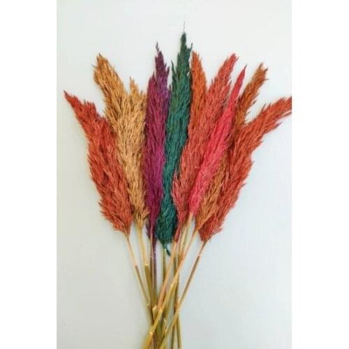 We Quick-frozen 10'lu Pampas Grass Mixed Color 100cm decoration artificial flower искусственный цветок