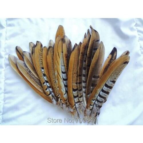 50Pcs/Lot!8-10" 20-25cm Reeves (Venery) Pheasant Tail Feathers, natural brown / loose feathers,plumas para manualidades